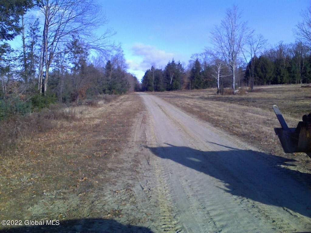 88 Ralph Road, Warren, New York, 9 Bedrooms Bedrooms, 4 Rooms Rooms,2 BathroomsBathrooms,Land,For Sale,Ralph Road,1018